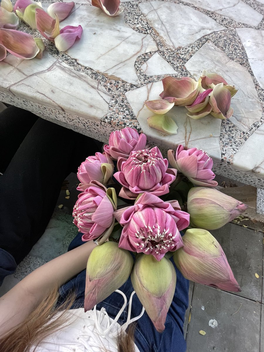 ꒰ rubelyy ‧⁺ | กุจะขายวิญญาณแล่ว tweet media