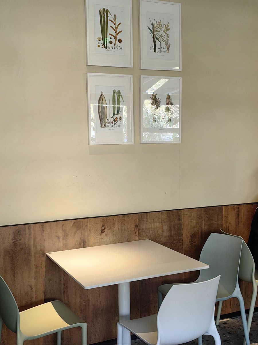 Terry Anthony tweet media