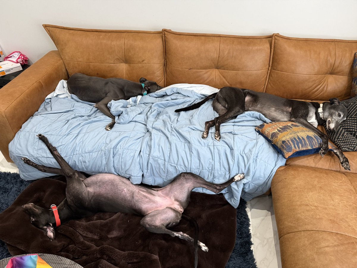 Ben Collins tweet media