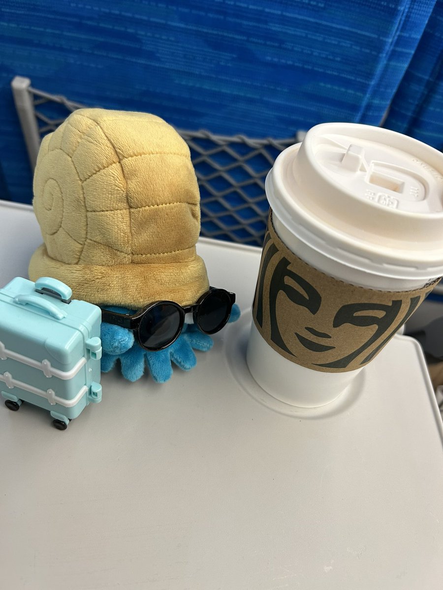 膝栗毛 tweet media