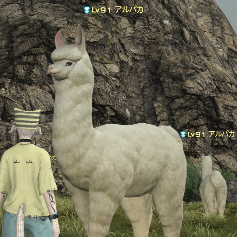 ティル@エオラジ tweet media