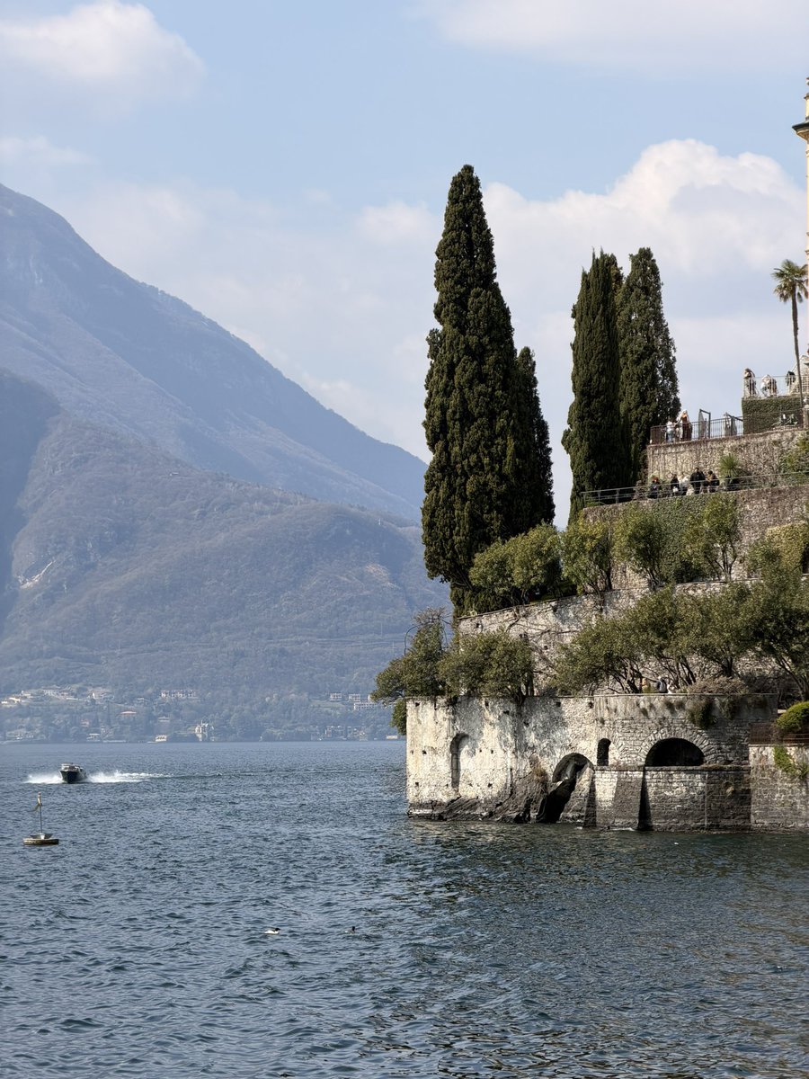 calia ⭑ in milan tweet media