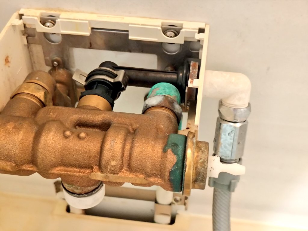 むりどん🐶 🍋 tweet media