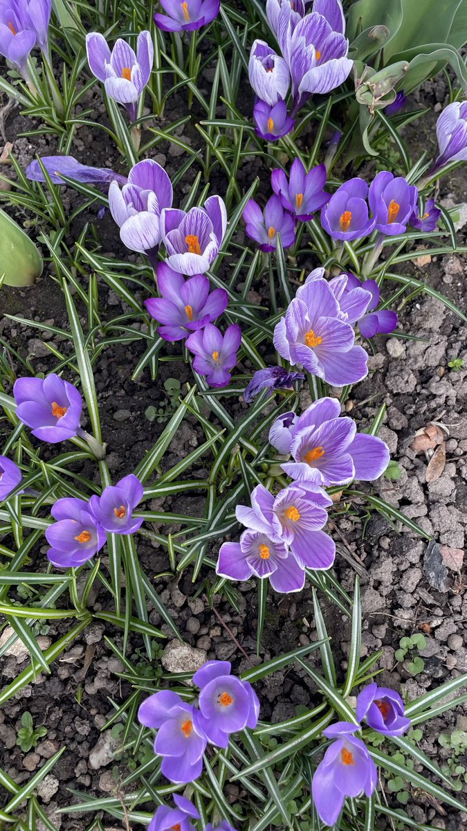 Wnuczka Dziadka Teodora tweet media