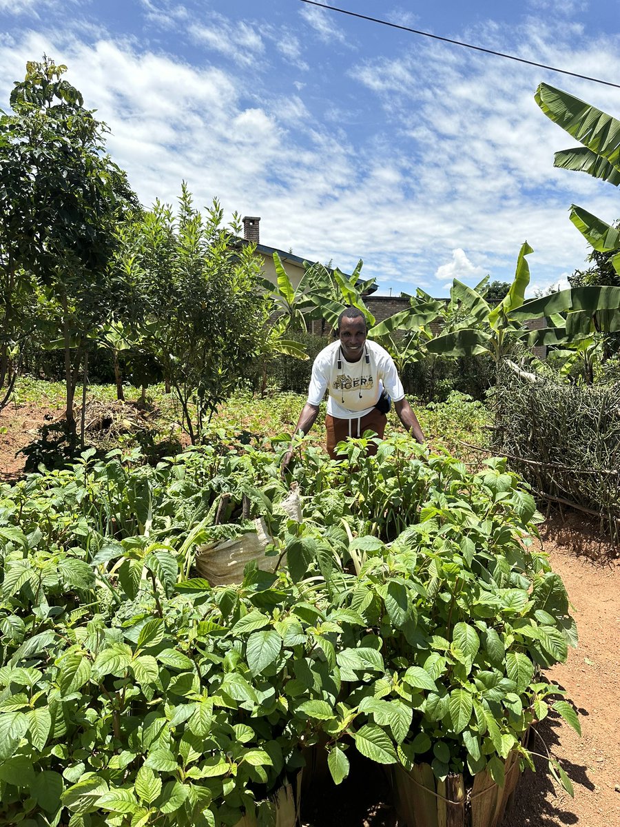 Dieudone HARAGIRIMANA tweet media