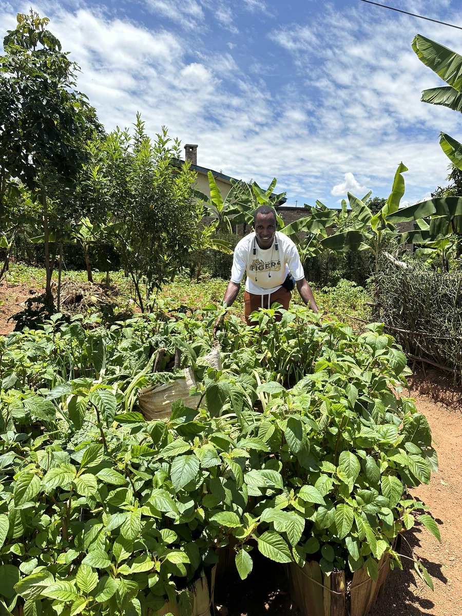 Dieudone HARAGIRIMANA tweet media