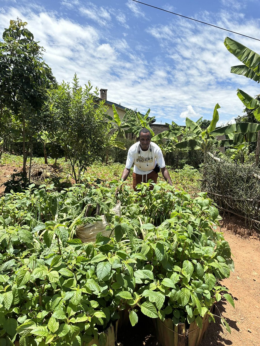 Dieudone HARAGIRIMANA tweet media