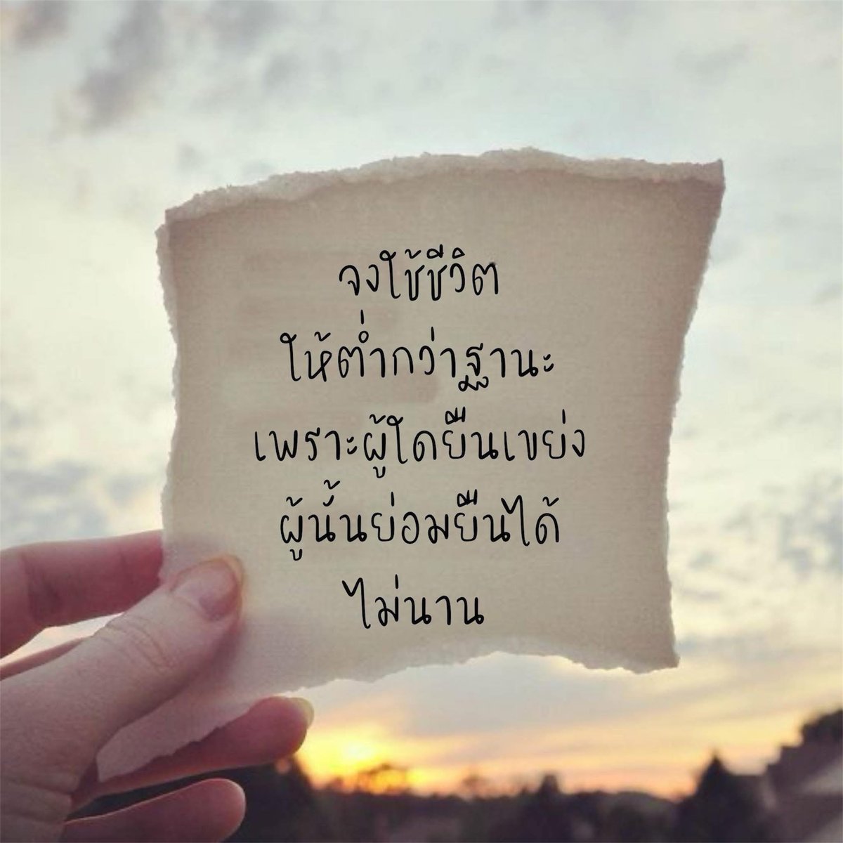 T_T tweet media