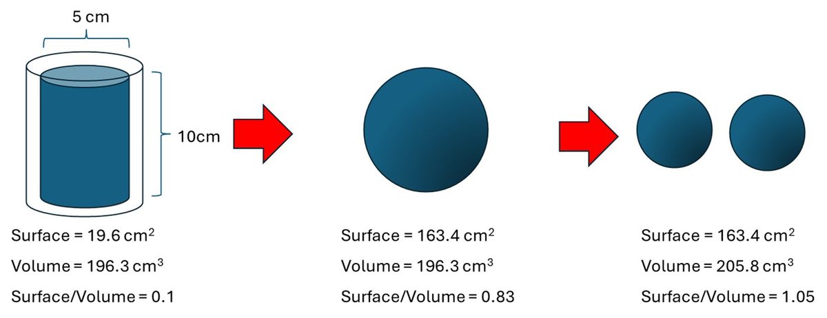 Al Haddrell tweet media