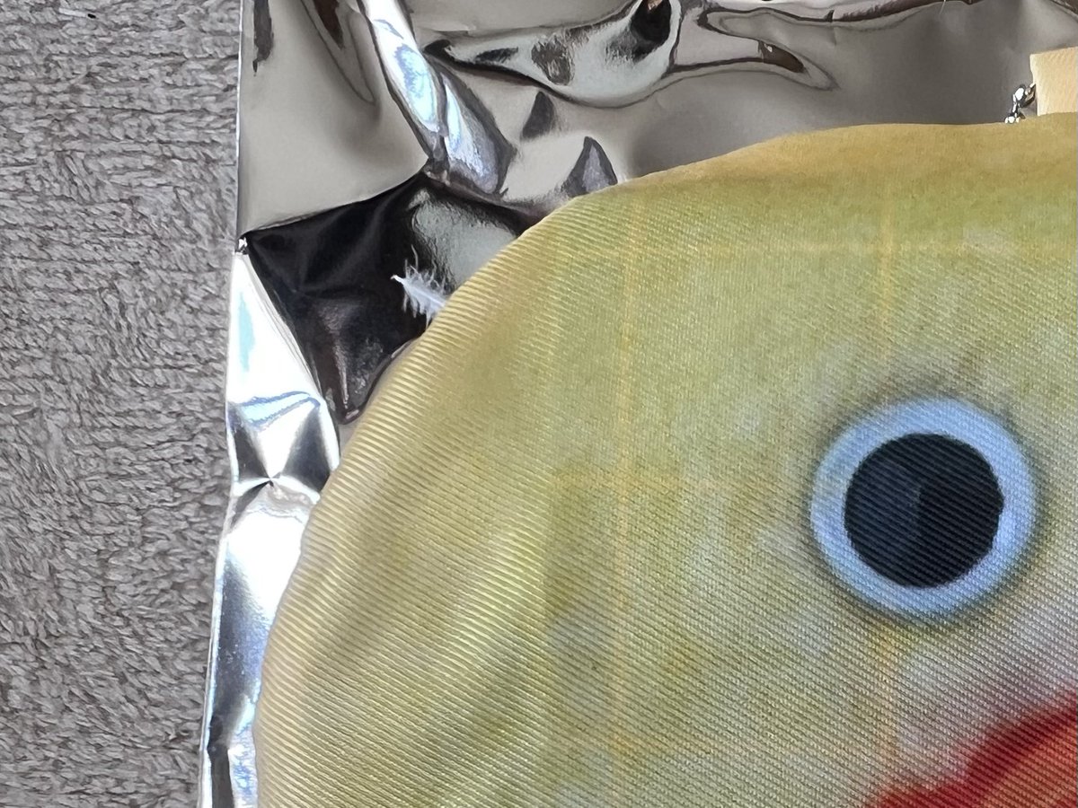 καчο¨̮♡︎ tweet media