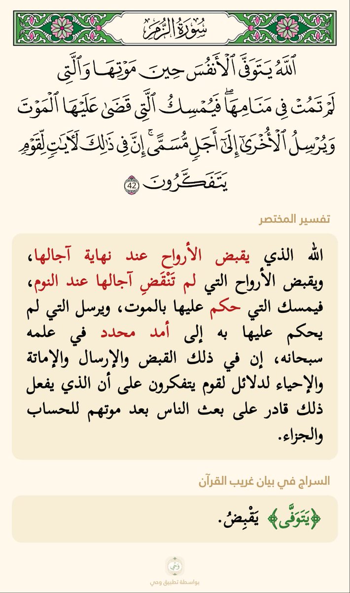 الذ ئب المغربي tweet media