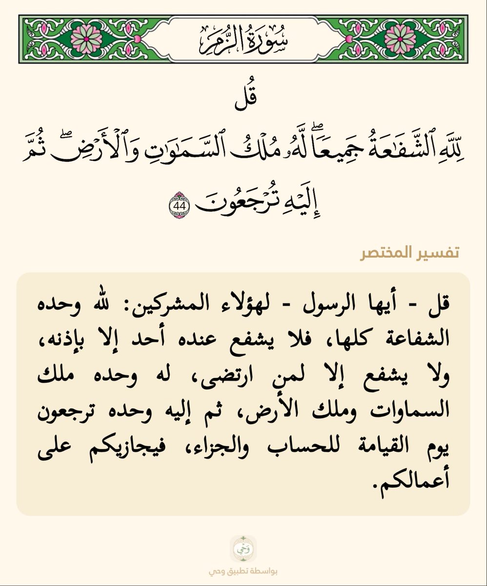 الذ ئب المغربي tweet media