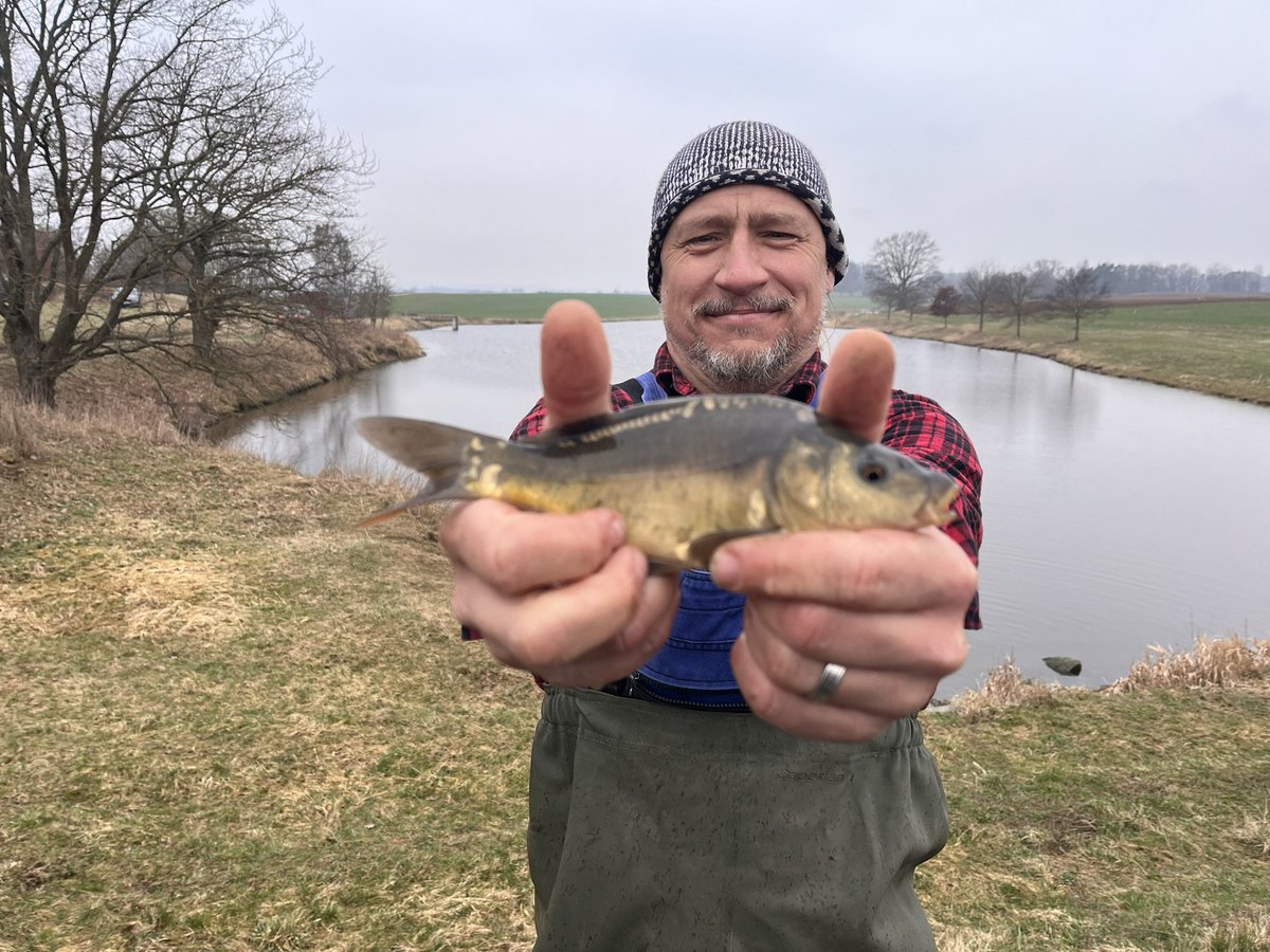 Pražák na vsi tweet media