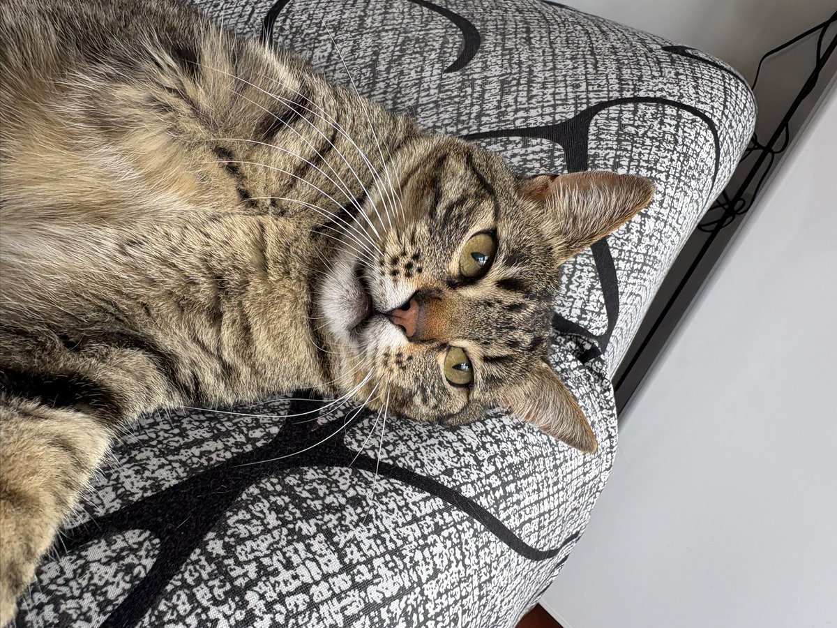 aitana 𐙚 tweet media