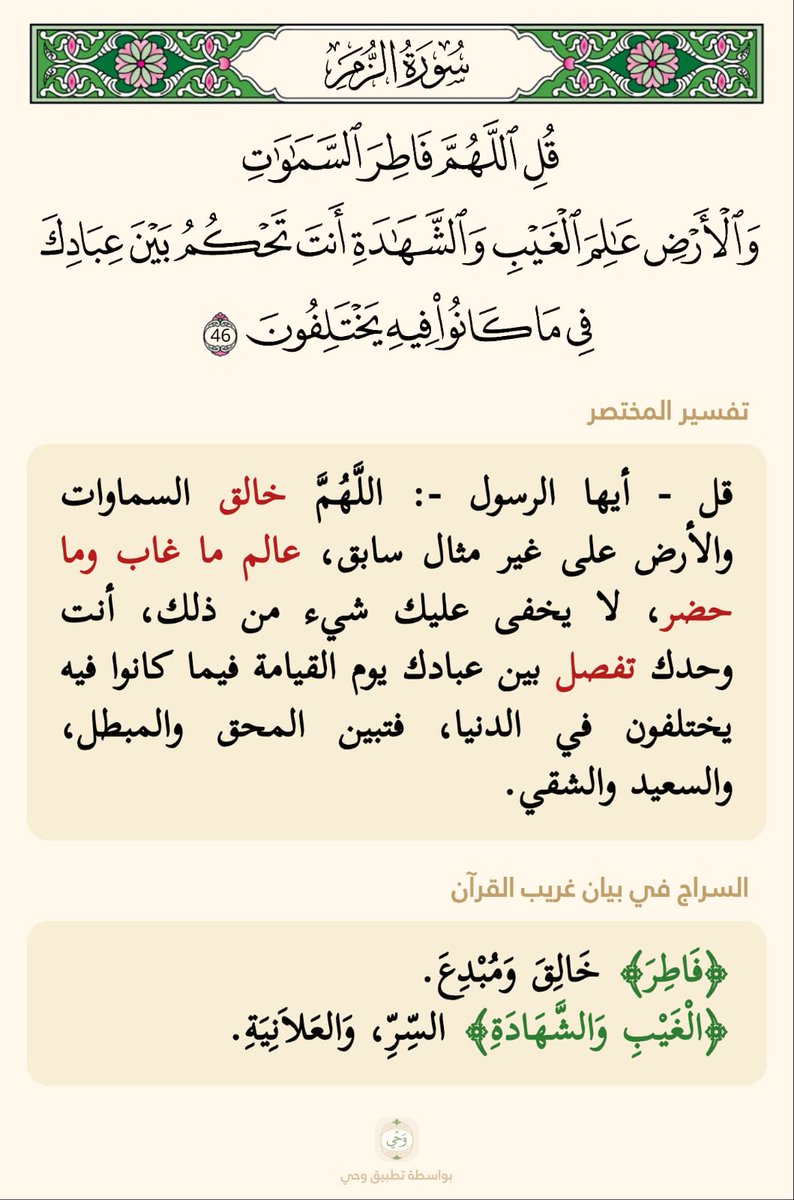 الذ ئب المغربي tweet media