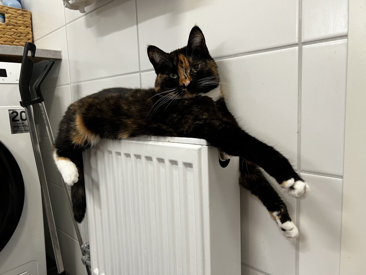 Dra_Röva_i_Koks tweet media