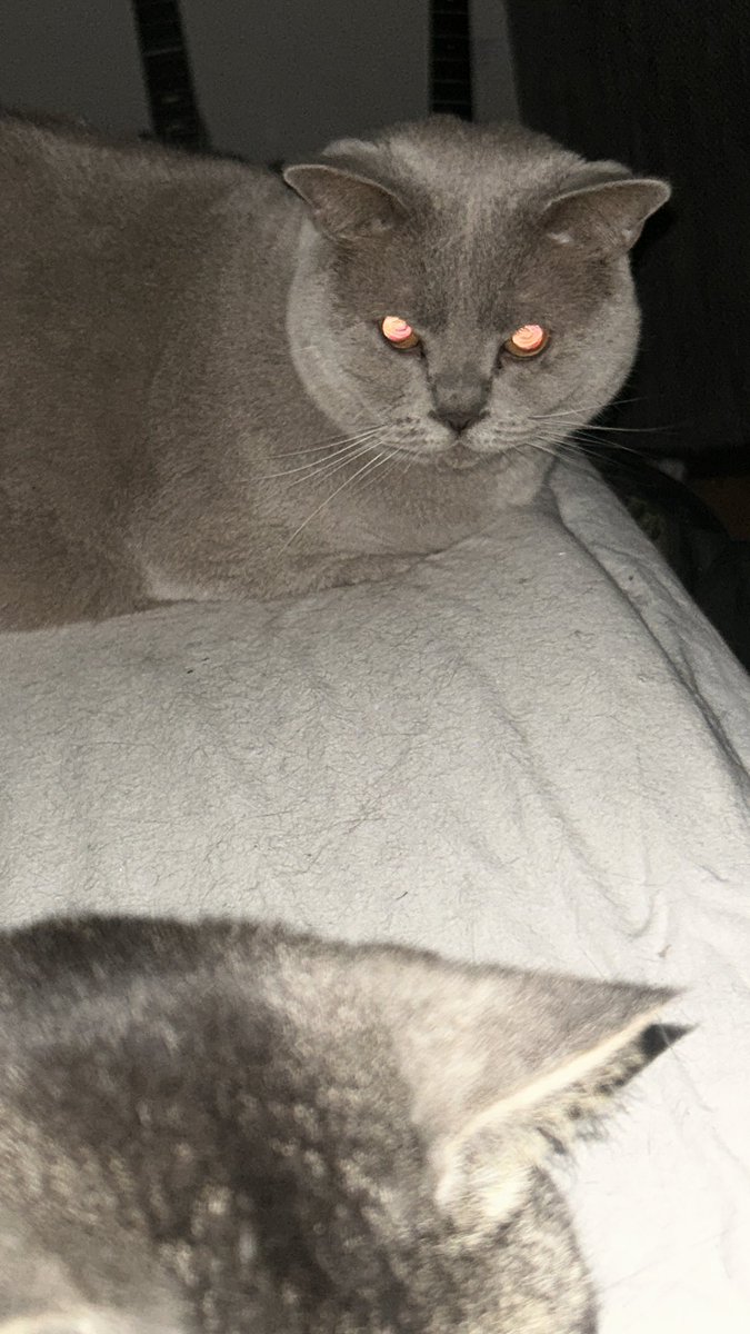 Stephan_Makowski (@stephma.bsky.social) tweet media