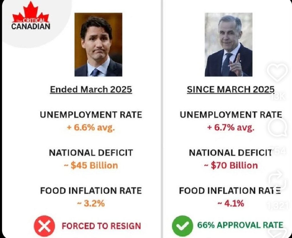 JamieTO416 tweet media