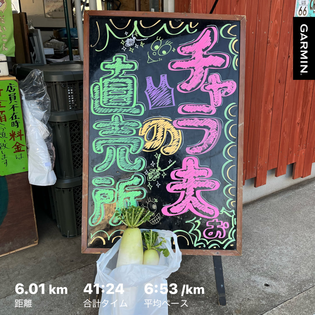 hiro_nc3's tweet photo. １週間休んで疲労を抜いたので、今日から再始動です！始めは、道路脇にある直売所までジョグ🏃‍♀️大根を背負ってのウォークで帰宅😆背筋がピシっと伸びて、良いトレーニングになりました✨ずっしりと重い大根1本100円👛小さいのはオマケです😊 https://t.co/F8R8lPcVNc