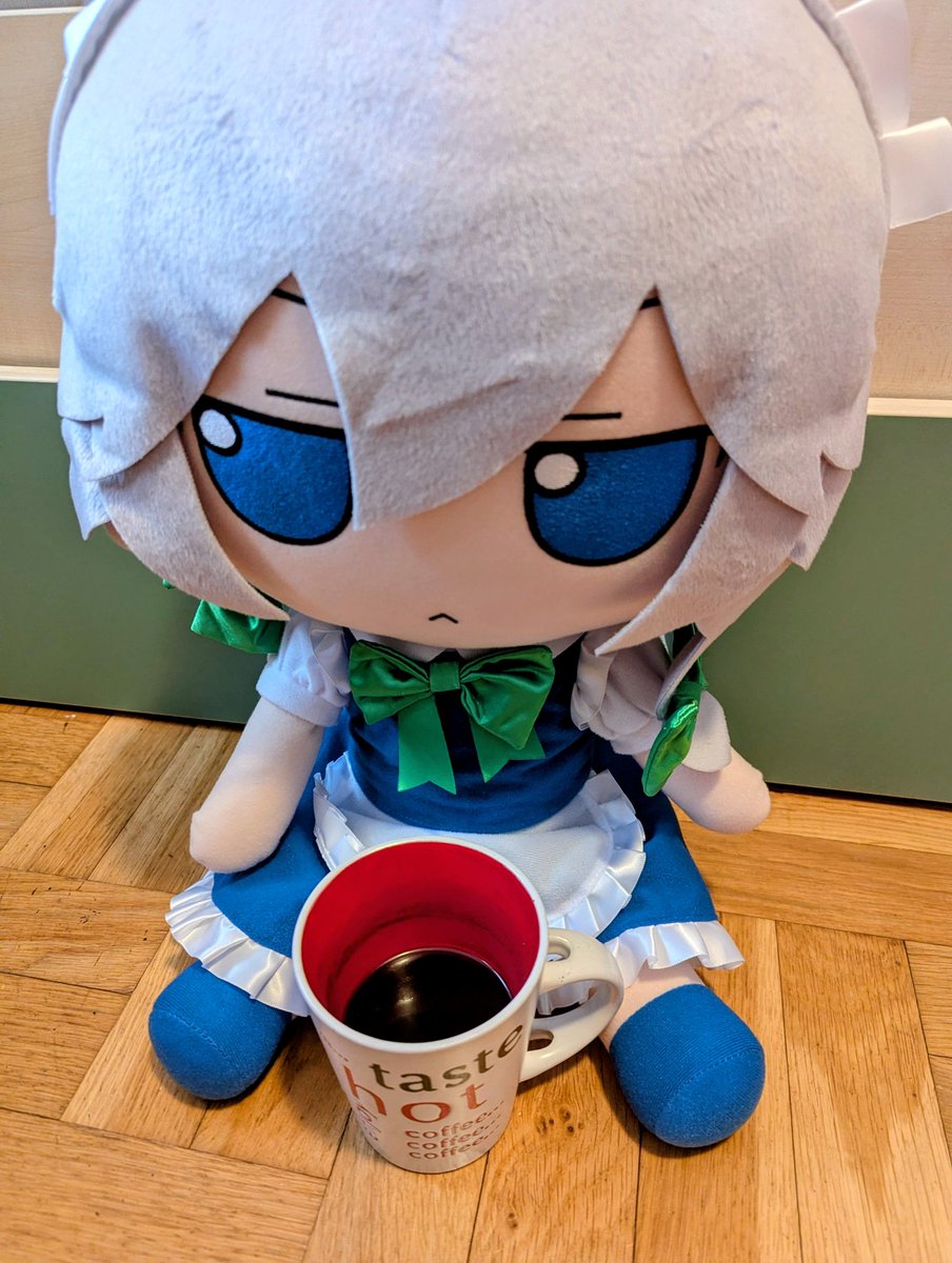 Casual Fumo Enjoyer tweet media