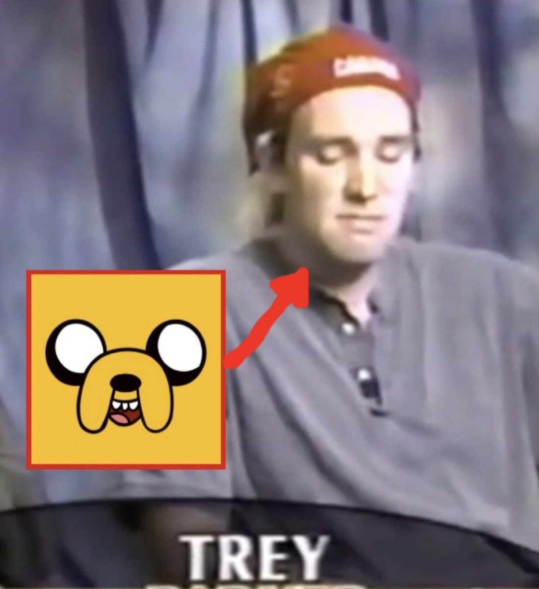 ☆PAKALEO★ tweet media