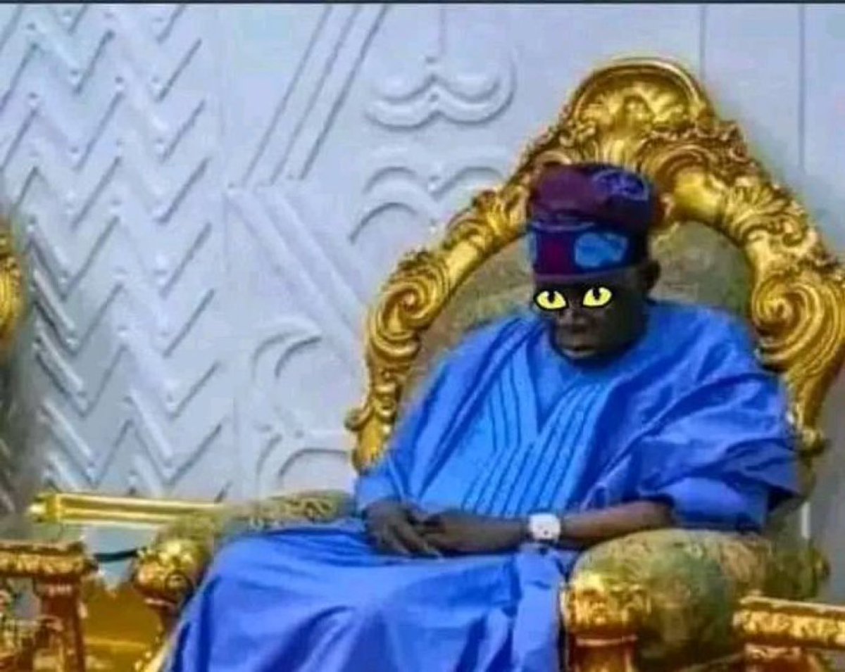 Do you follow back ??