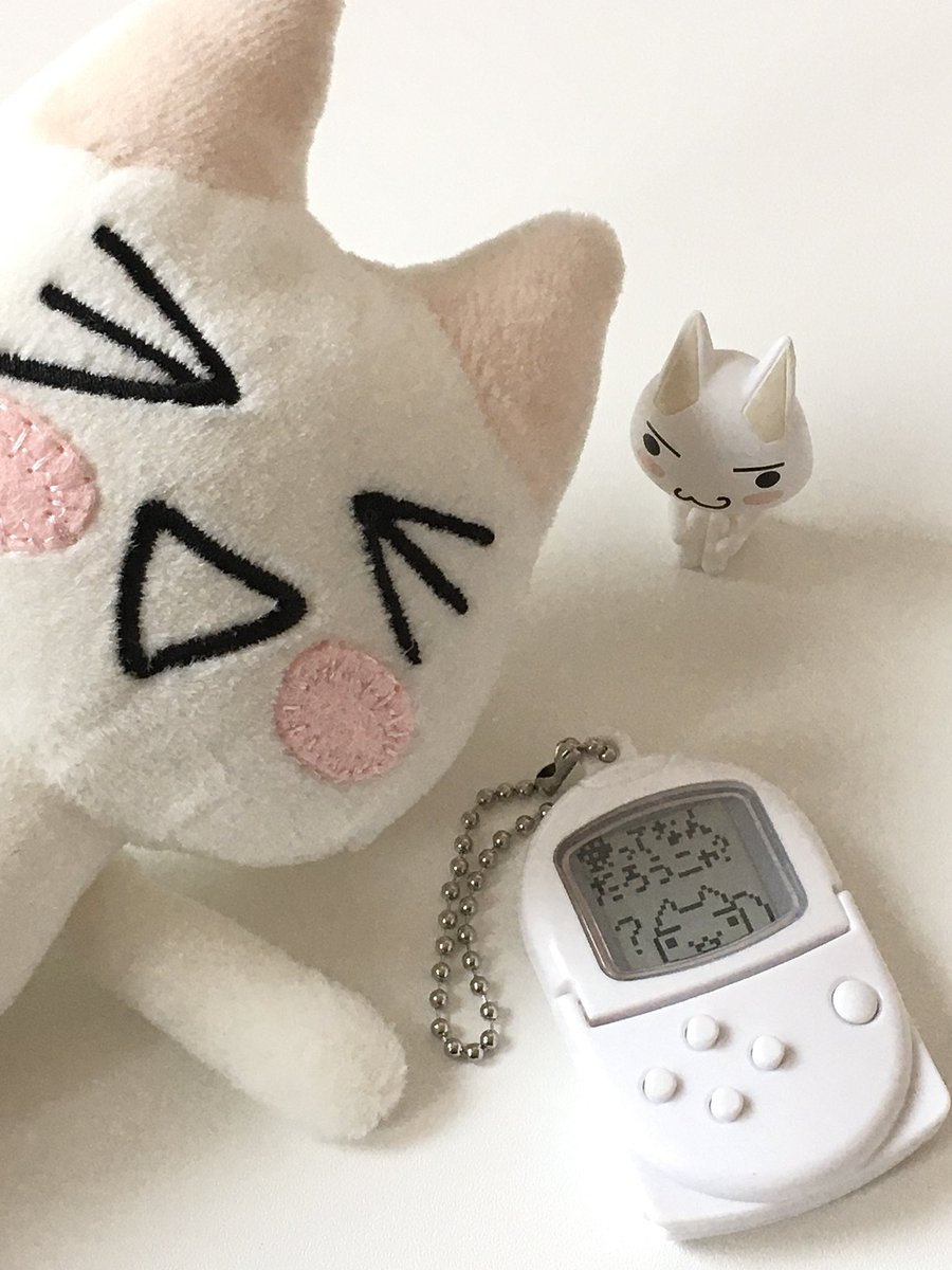 행운!! tweet media