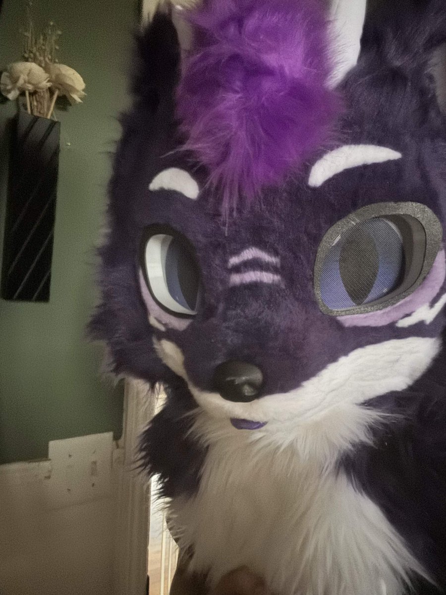 FenlxFox's tweet photo. digi grade picks soon 🤠 https://t.co/MCO4yZz2DX