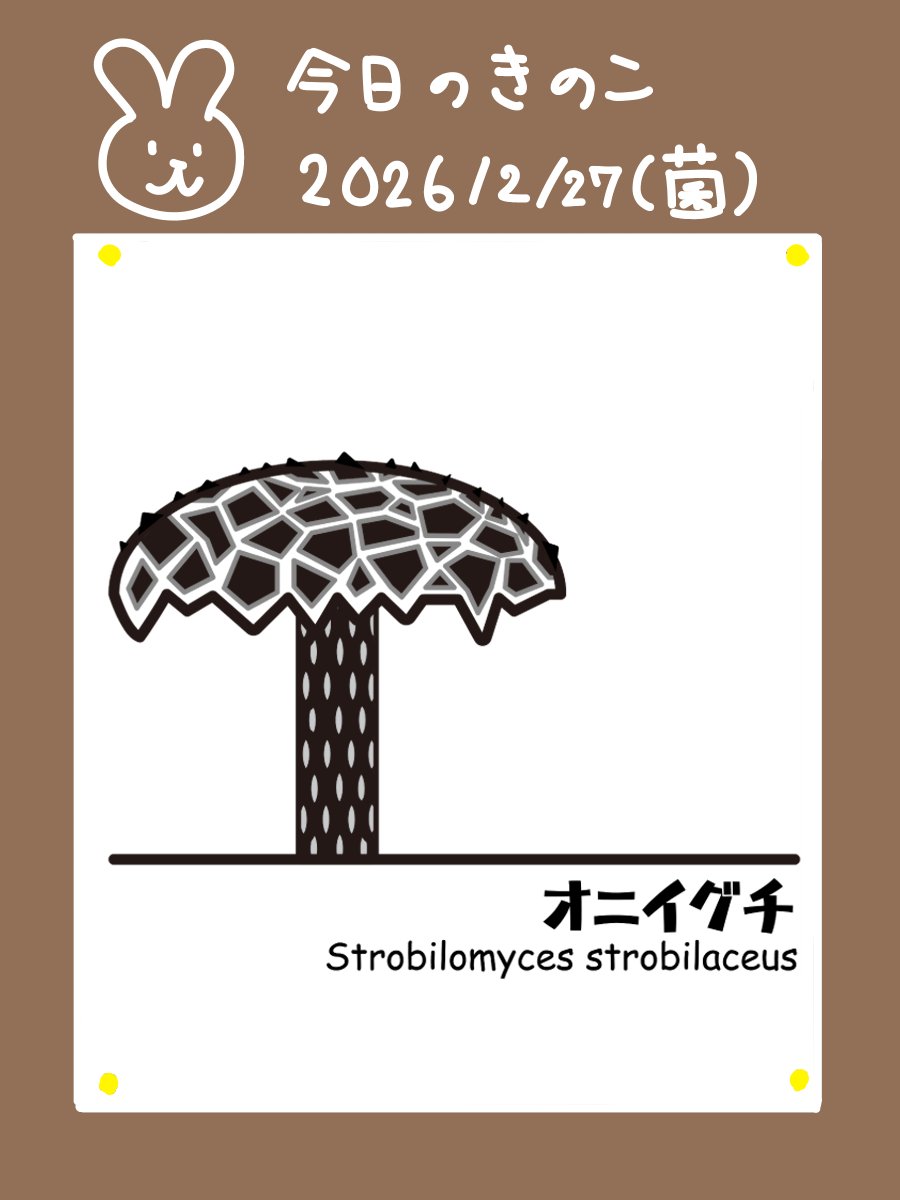 おかのさん tweet media