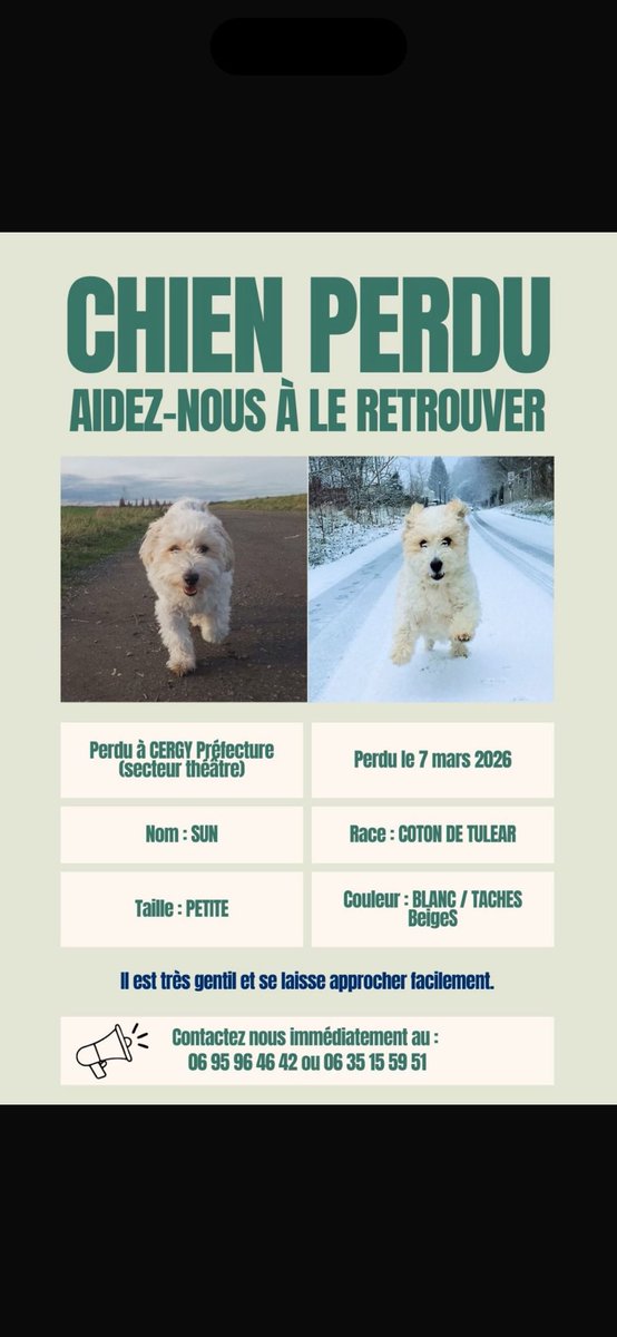 Sip the gossip 🍵 tweet media