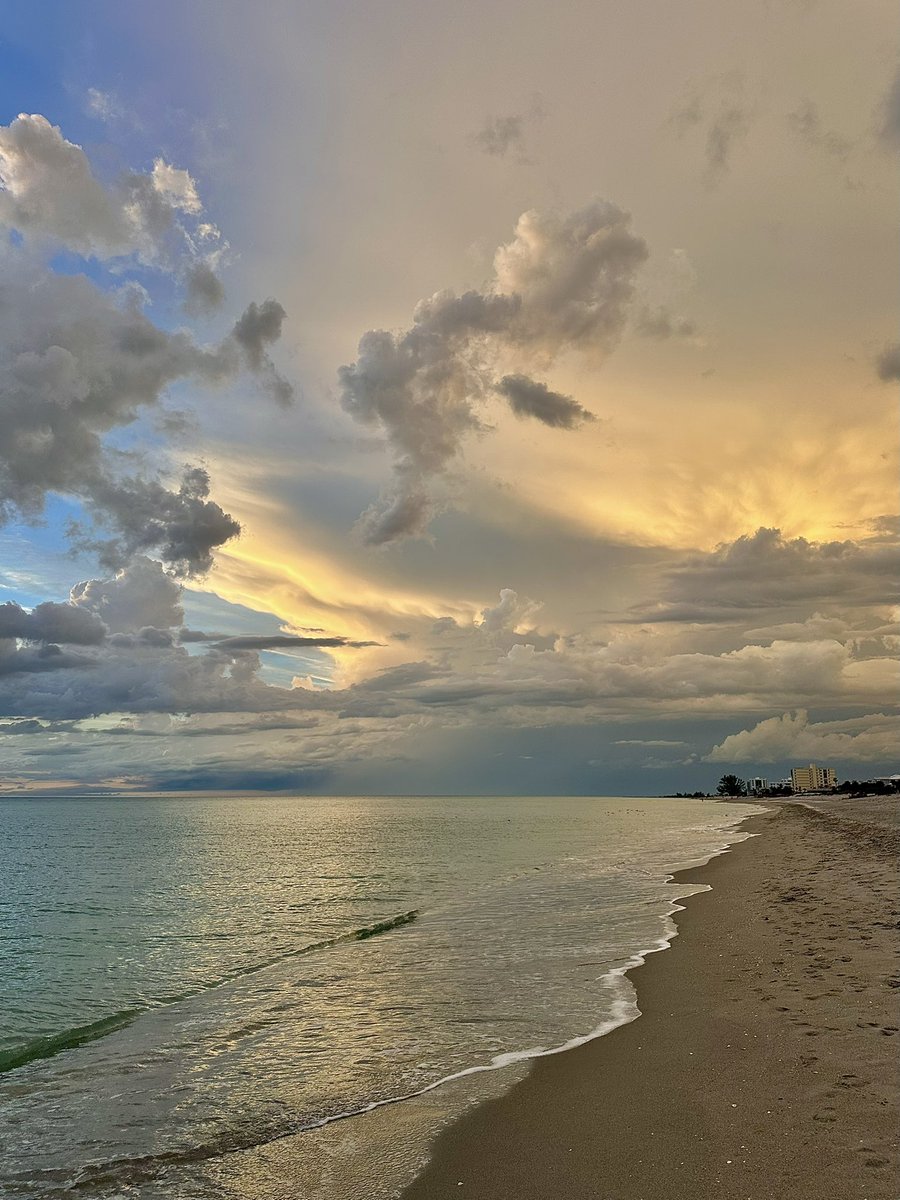 Mira🌺 tweet media