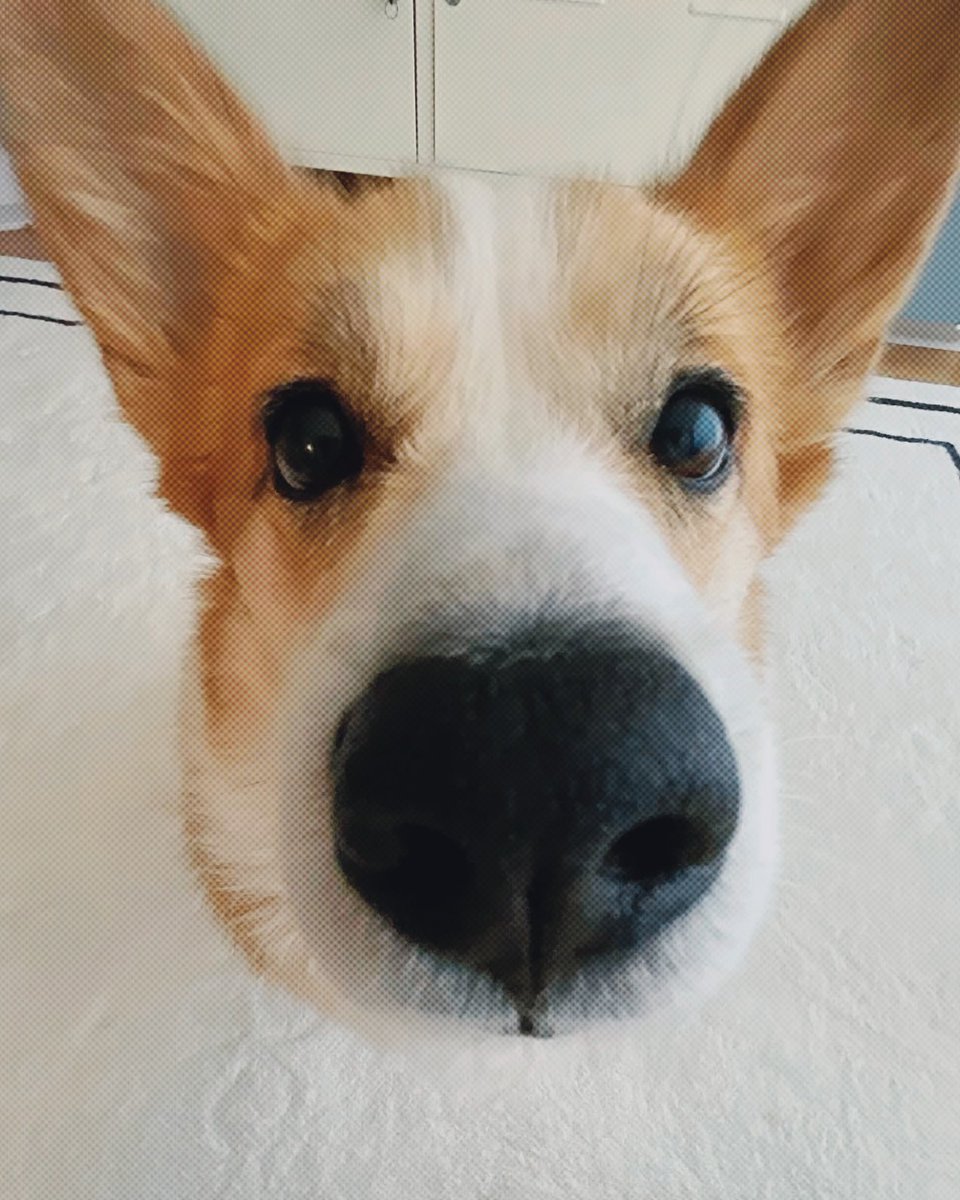 𝒮ola. tweet media