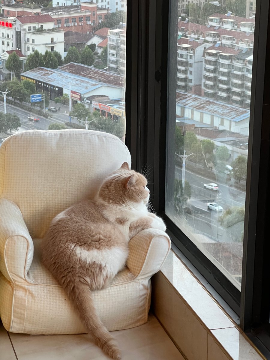 Zachary garske tweet media