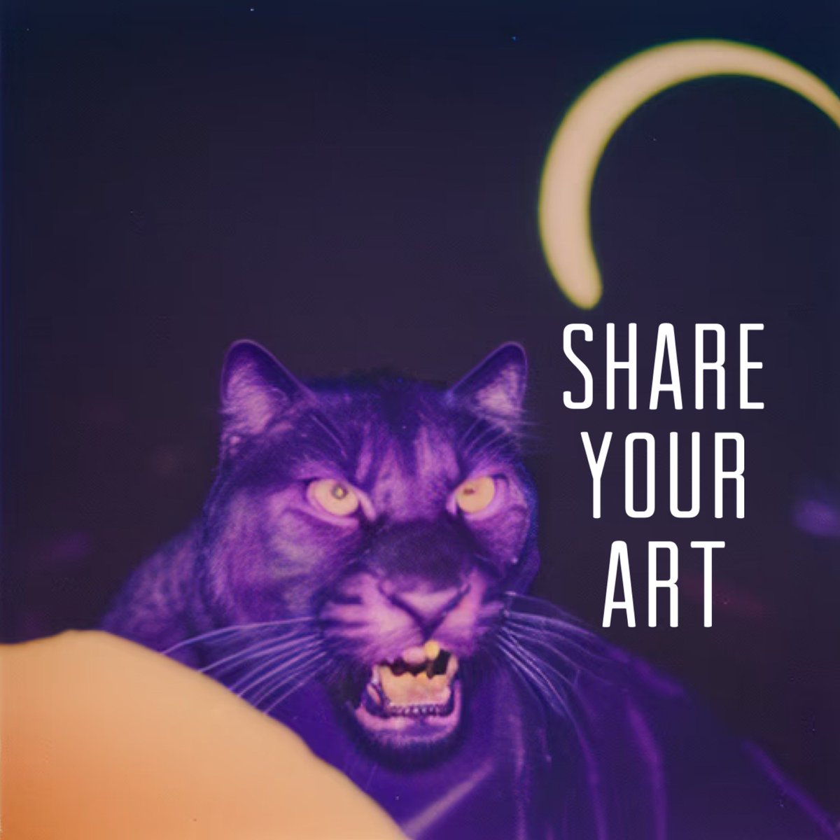 CRYPTO EIGHTYEIGHT tweet media