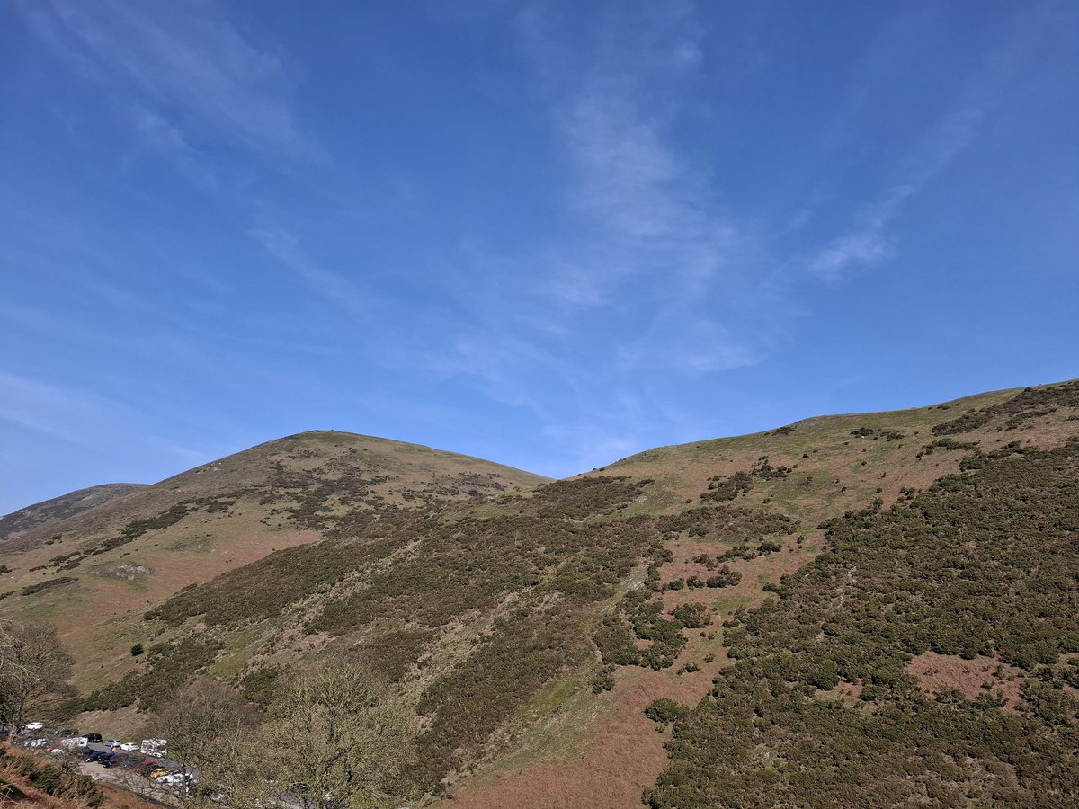 Lisa Wilde tweet media