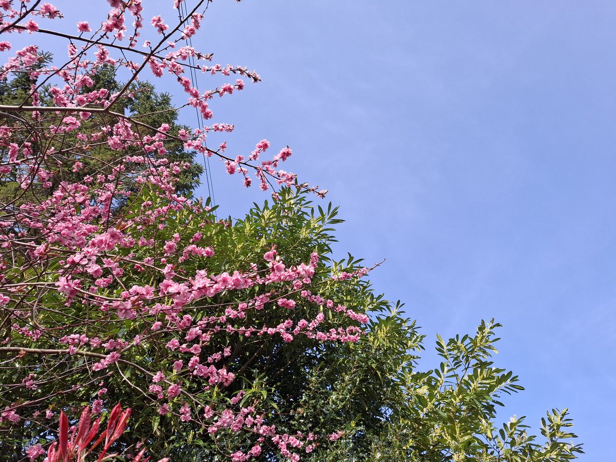 Lisa Wilde tweet media