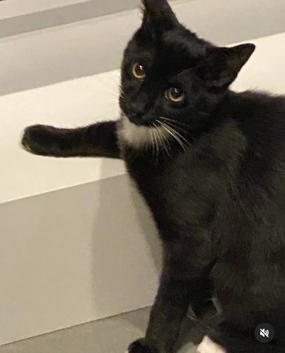 Jennifer Leggio tweet media