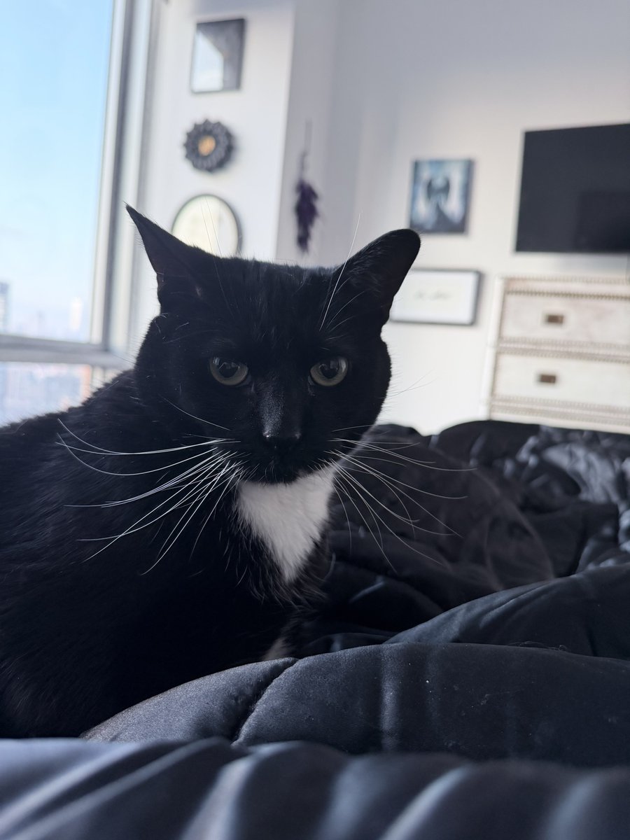 Jennifer Leggio tweet media