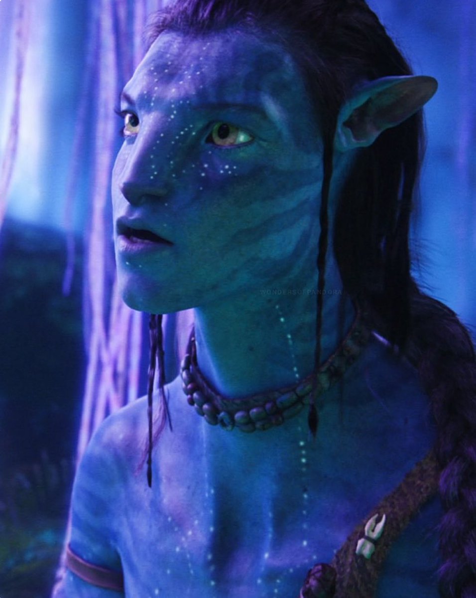 메밀죽(Memil) tweet media