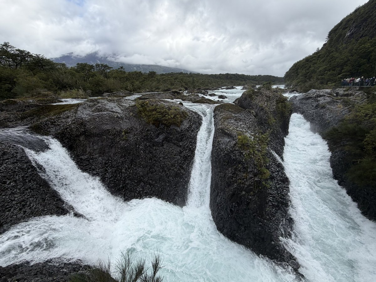 Gary Bembridge tweet media