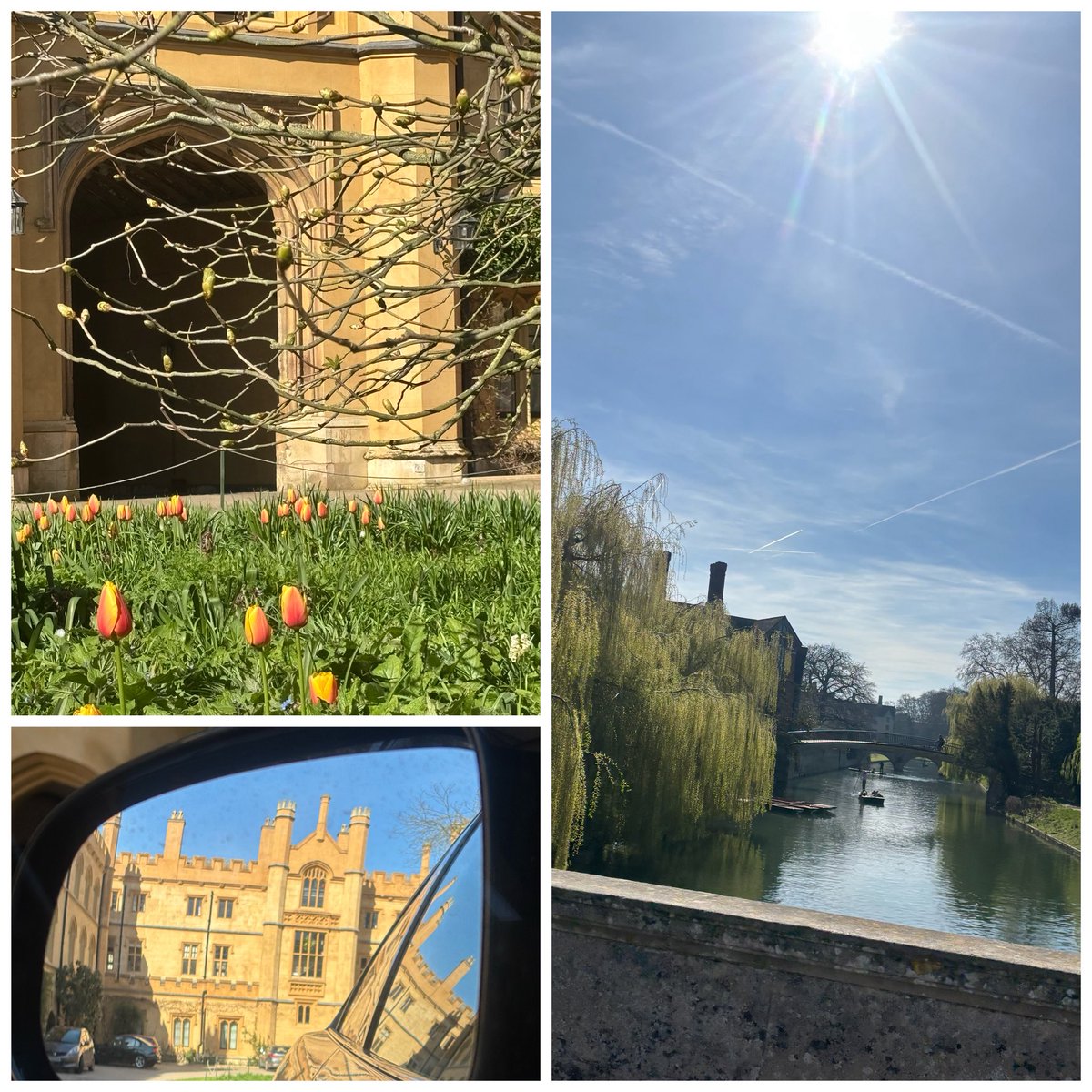 Rob Bonser-Wilton tweet media