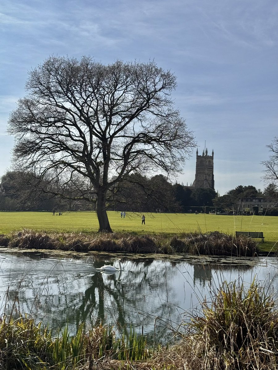 shiner_sam tweet media