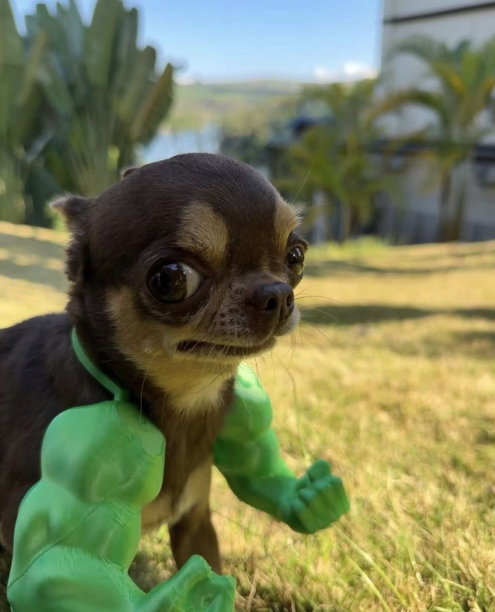 twaniimals's tweet photo. https://t.co/lHCQHbPTAI