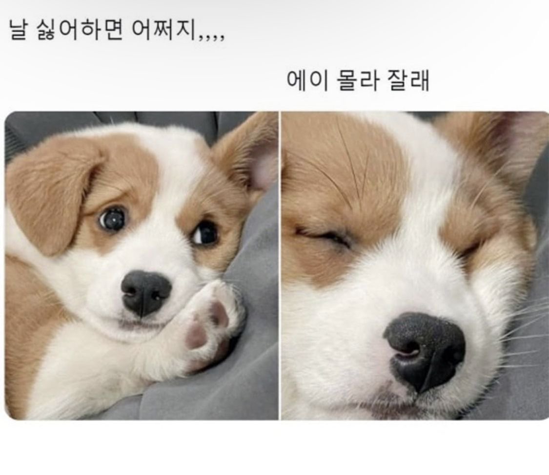 은솜 tweet media