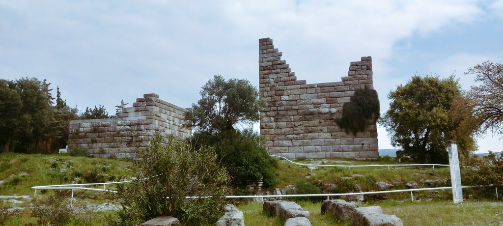 spirit of the urankhai 🌲 tweet media