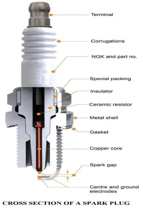 Logic Loop tweet media