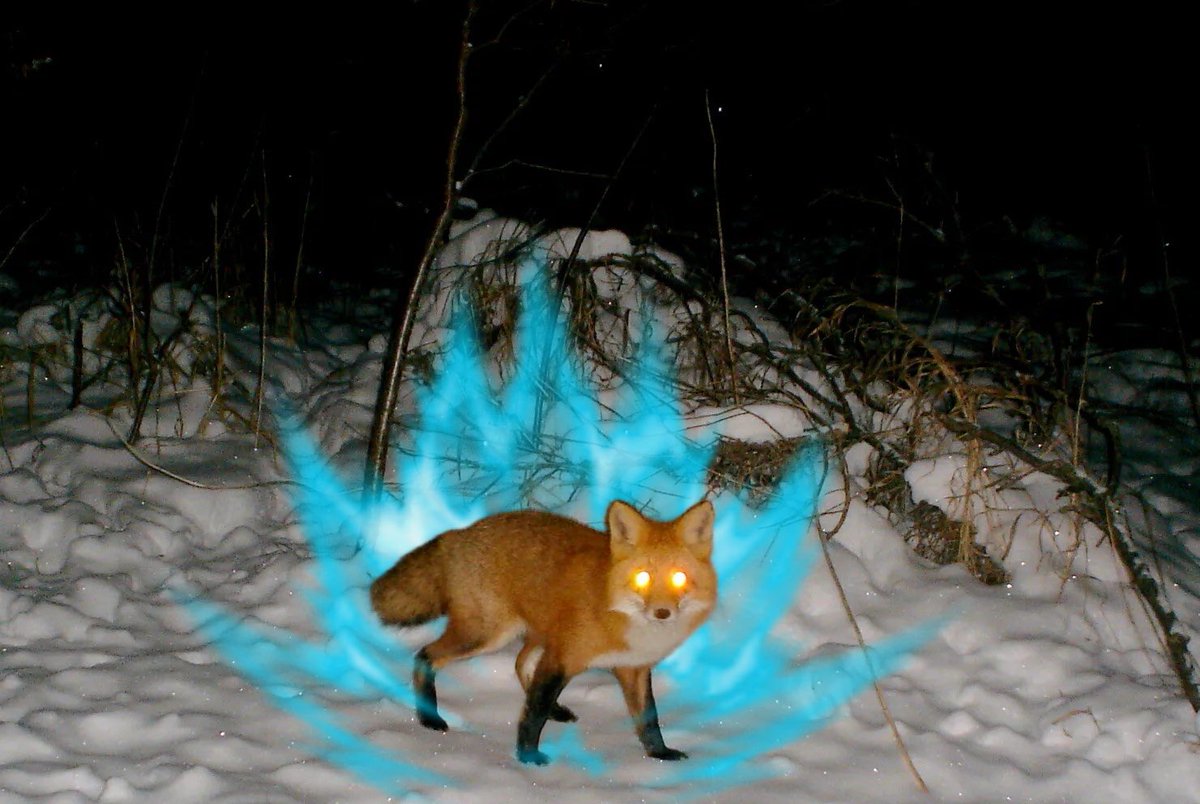 Dragon Ball Mets tweet media