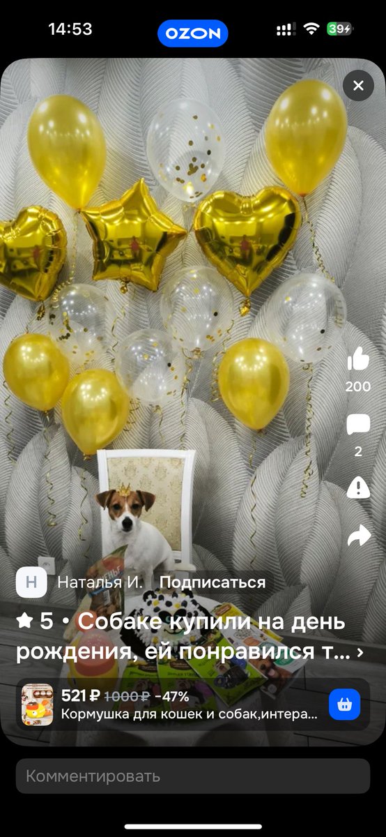 Оленёнок бимбо tweet media