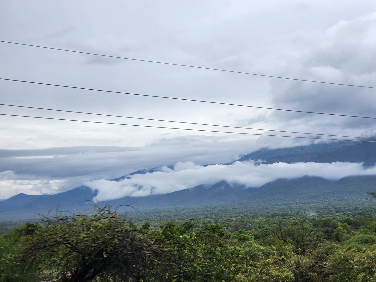 KiuWes 🇰🇪🏗👷♀️📏 tweet media