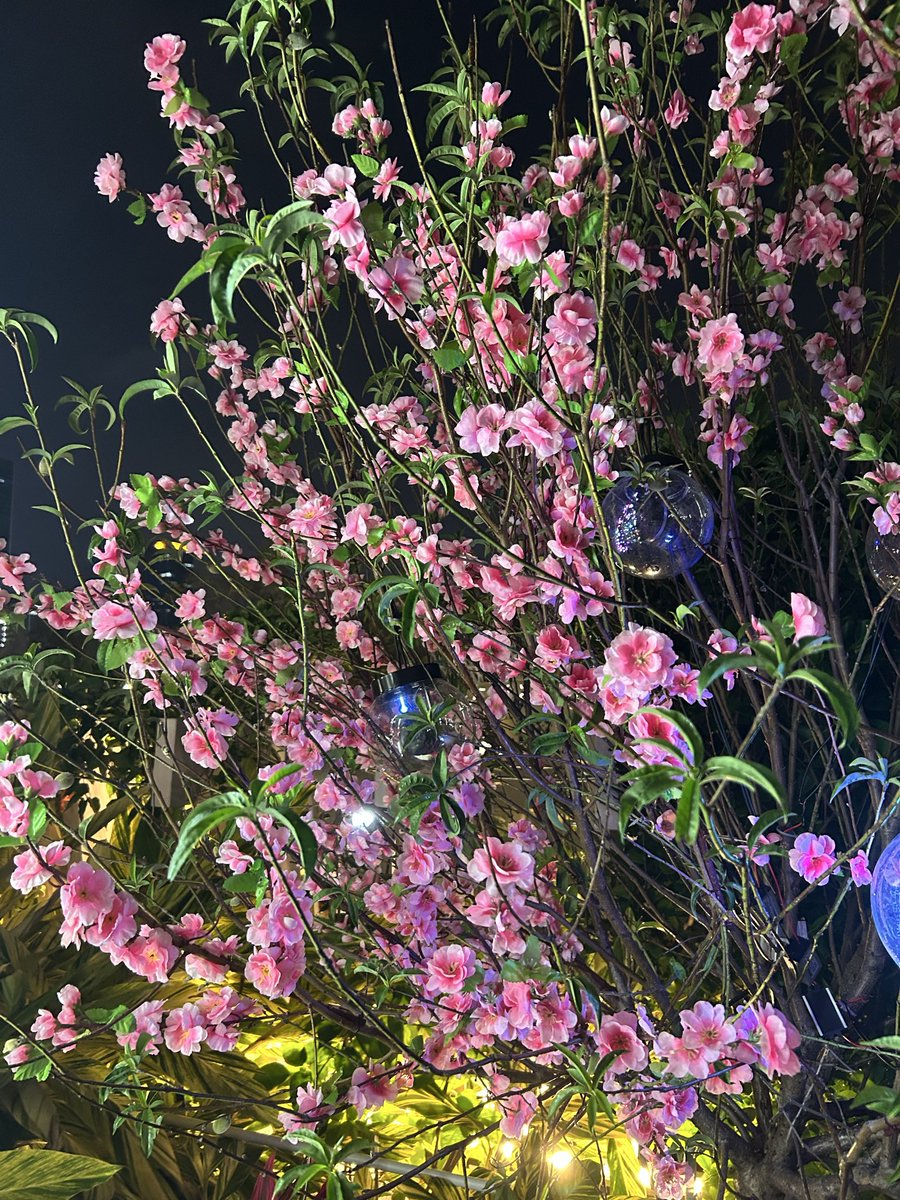 ZuoMaiGie 做麼嘅 tweet media